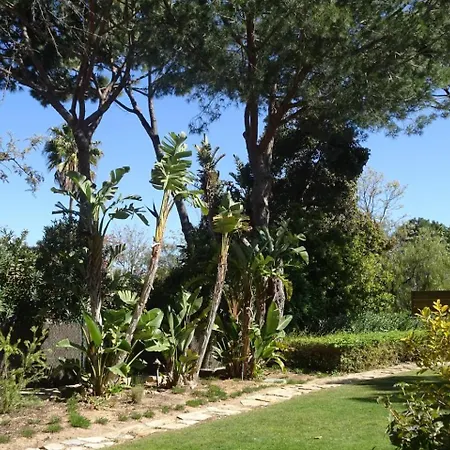 3br Apt-quinta Do Lago-private Terrace